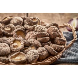 Dry Mushroom | 100 gm/pkt